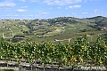 VBS_6344 - C'è un mare di velluto verde! E tu che sognavi di andare lontano... Quanta meraviglia, quì!